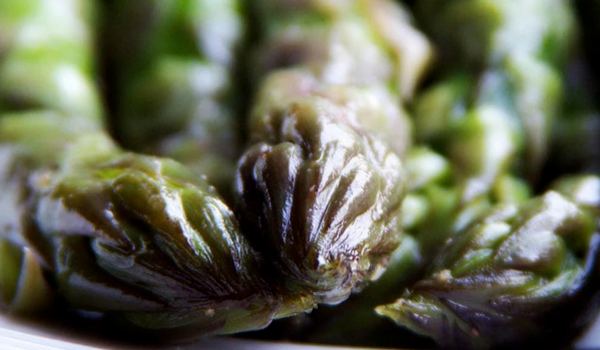 Qué Comer Para Producir Feromonas Twoformen